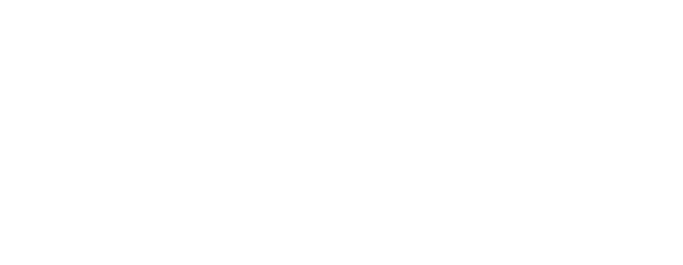 Wellspring Minds